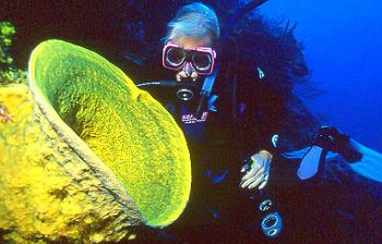 Dive site: "Son of Rock Monster"  looking at a yellow hor... by Jerry Hamberg 